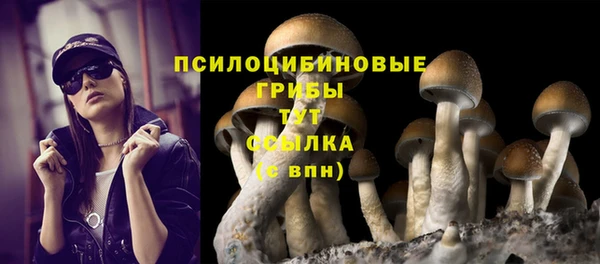 a pvp Алзамай