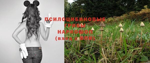 стафф Алексин