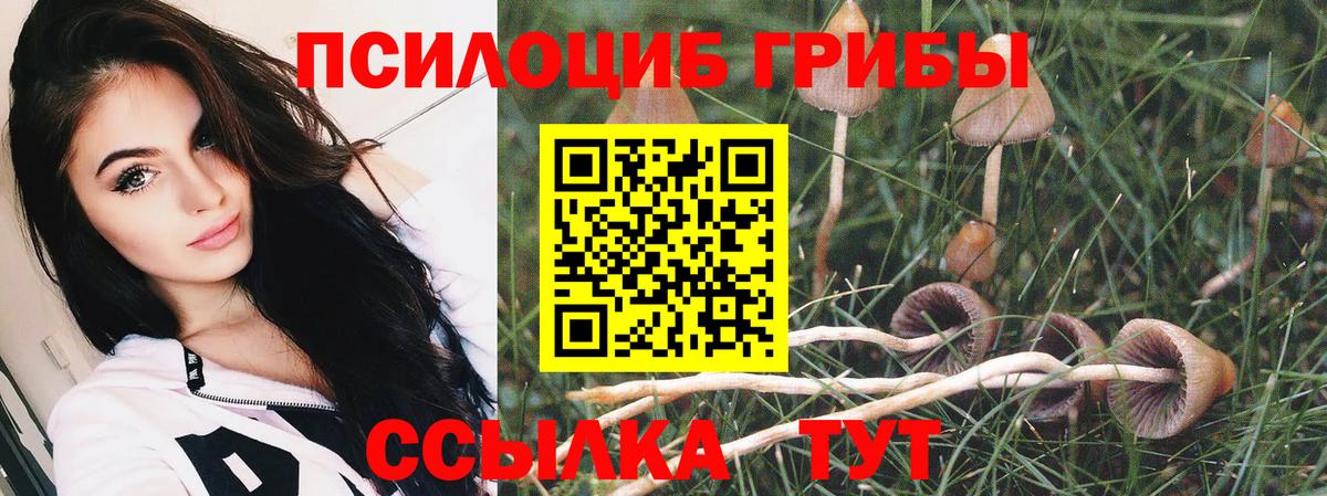 Киреевск  Галлюциногенные грибы Psilocybine cubensis  где можно купить наркотик  Вход с VPN  Псилоцибиновые грибы ЛСД 